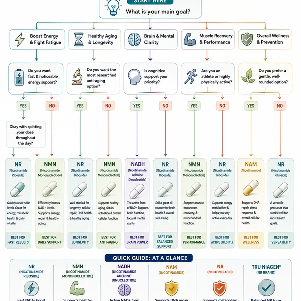 NAD+ precursor supplement guide