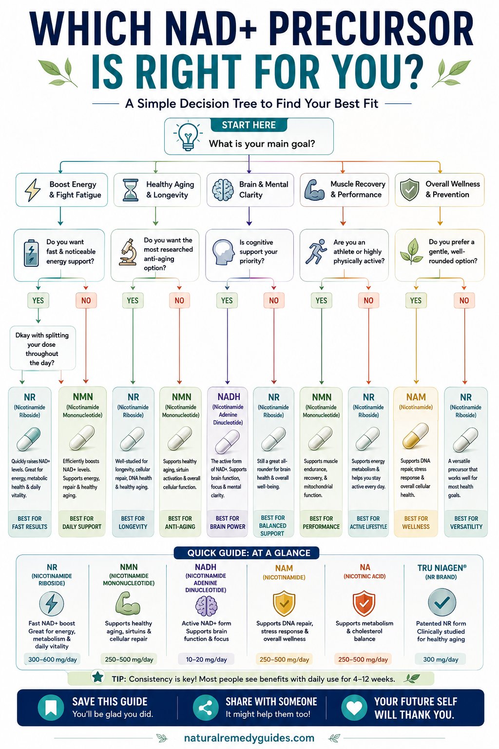 NAD+ Precursor Decision Tree Guide - NMN vs NR vs NAD+ comparison with bioavailability, clinical evidence, and cost analysis for mitochondrial support